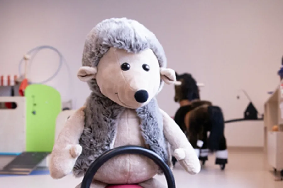 Et kosedyr på en sykkel